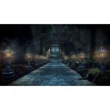 (Switch Package Soft) Zero ~Wet Crow Shrine Maiden~