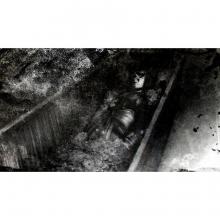 (Switch Package Soft) Zero ~Wet Crow Shrine Maiden~