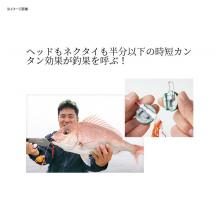 Tairaba Taitenya Shimano Engetsu Rakuchen Bakubaku S 100g 004 Green Gold