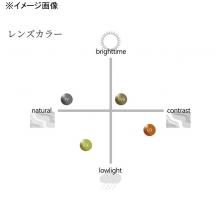 Polarized Glasses SHIMANO UJ-302W STL302 Clear Gray True View Sports