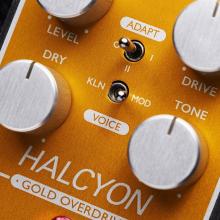 ORIGIN EFFECTS Halcyon Gold Overdrive Compact Effector