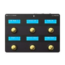 SINGULAR SOUND MIDI MAESTRO Gold Edition MIDI Control Pedal