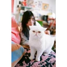 Saint Chihiro Chichi Chichi and the Cat Haku and Bou Book