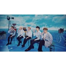 SEVENTEEN D'FESTA THE MOVIE SEVENTEEN version/DVD (BOOK+DVD) Book